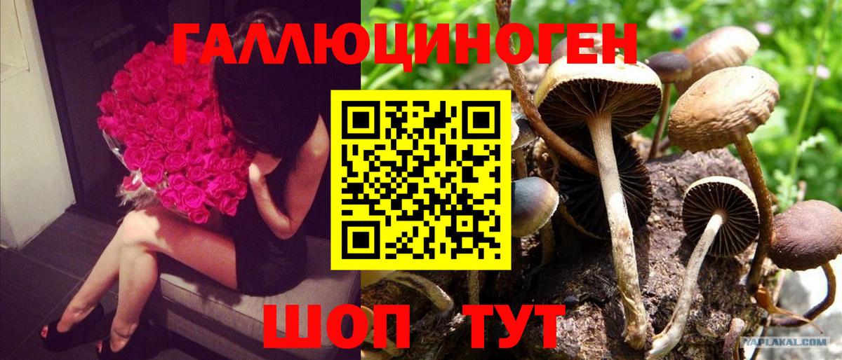 Галлюциногенные грибы мухоморы  Вход с VPN  Псилоцибиновые грибы мицелий  Усинск 